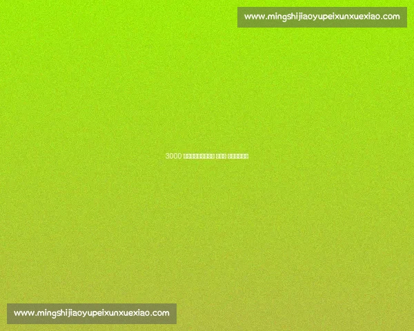 3000 组亲子黄浦江畔开跑 小上马 八年燃动成长