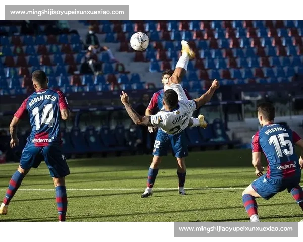 法甲焦点战尼斯迎战特鲁瓦主场实力与走势全面解析赛前前瞻看点