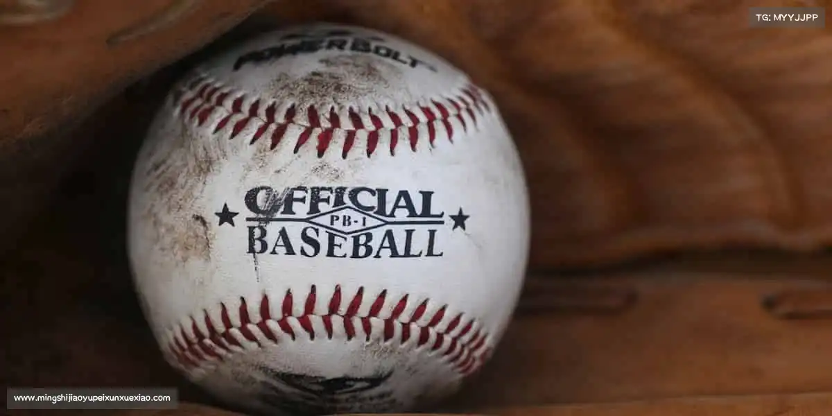 为什么选择我们